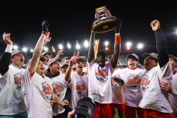 细致周全的 细致周全的